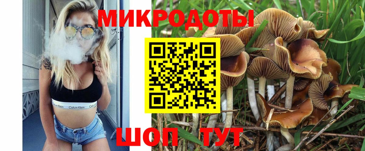 Тверь  Галлюциногенные грибы Cubensis  Вход с VPN 