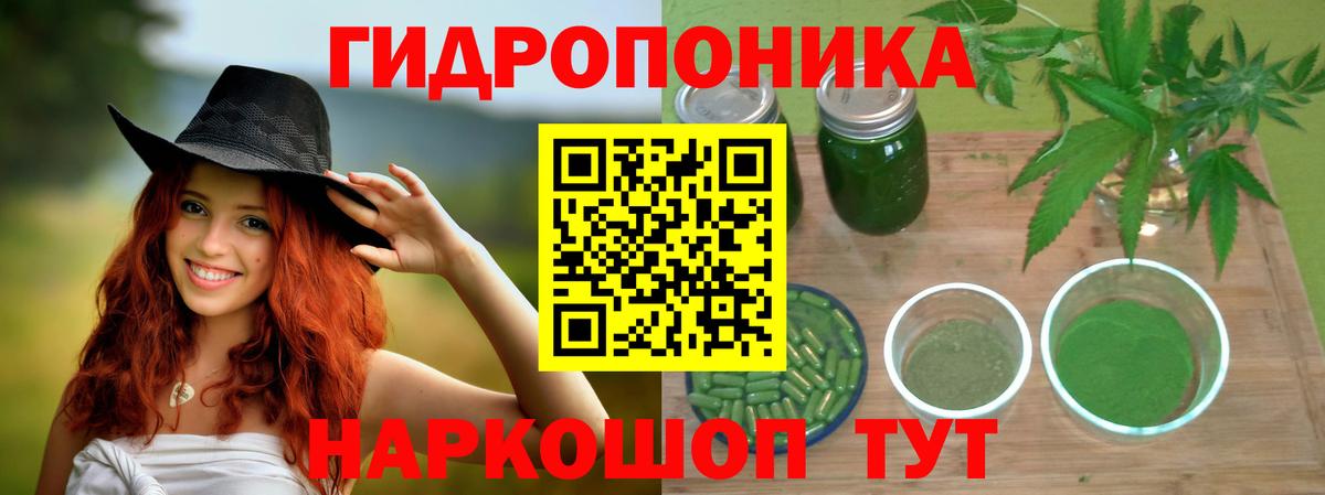 Бошки Шишки White Widow Тверь